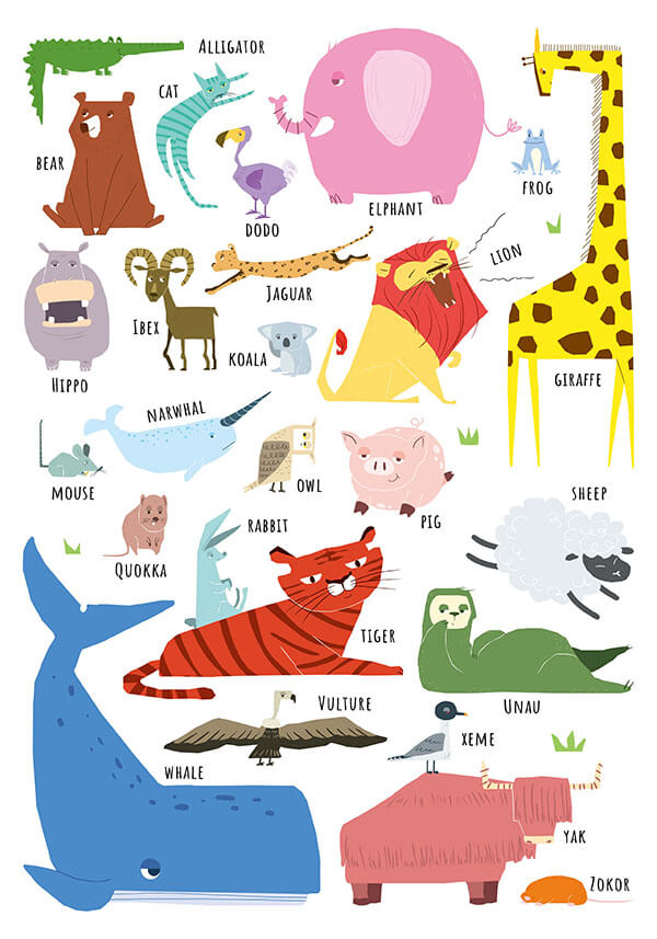 Animal chart